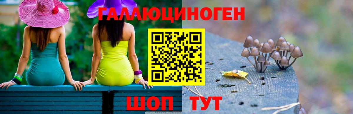 Псилоцибиновые грибы Psilocybe  Вход с VPN  закладка  Шарыпово 